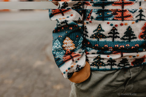 French Terry Nordic Sweater 3106 (Bio)