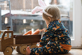 French Terry Karottenexpress 3363 (Bio) VORBESTELLUNG