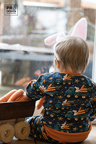 French Terry Karottenexpress 3363 (Bio) VORBESTELLUNG