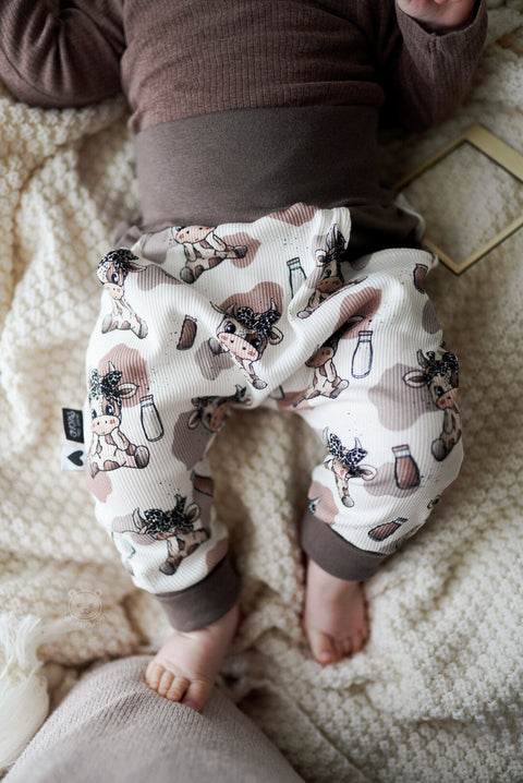 Rippjersey Schokokuh 2865 (Bio)