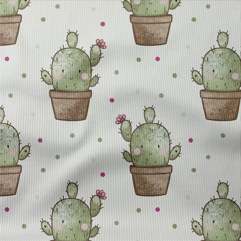 Rippjersey Kaktus Kalli 3536 (Bio)