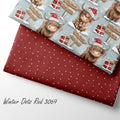 French Terry Northpole Buffalo 3030 (Bio)
