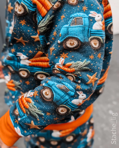 French Terry Karottenexpress 3363 (Bio) VORBESTELLUNG