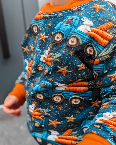 French Terry Karottenexpress 3363 (Bio) VORBESTELLUNG