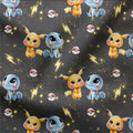 WINTERSWEAT Pika Mini 2894 (Bio)