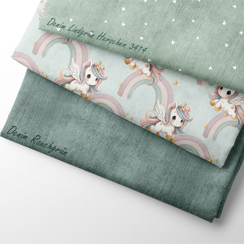 Jersey Rainbowjump 3385 (Bio) VORBESTELLUNG