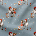 French Terry Weihnachtslotte 3043 (Bio) VORBESTELLUNG