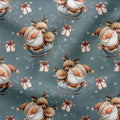 French Terry Weihnachtsschlitten 3117 (Bio) VORBESTELLUNG