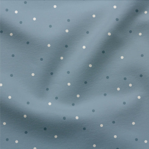 French Terry Winter Dots BLUE