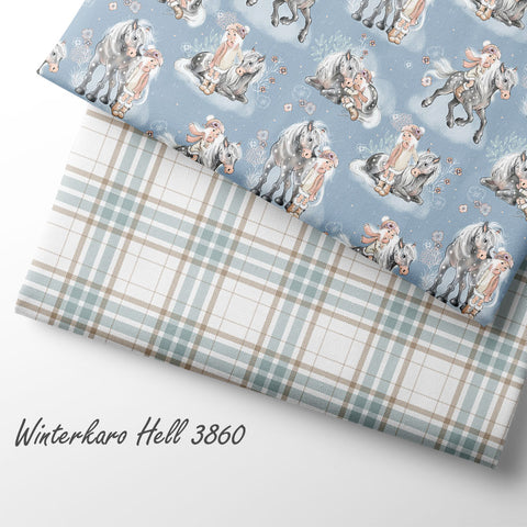 French Terry Funkelwinter 3816 (Bio) VORBESTELLUNG