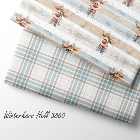 French Terry Happy Holiday Wishes Gestreift 3826 (Bio) VORBESTELLUNG