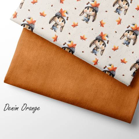 French Terry Autumn Bunny 2909 (Bio)