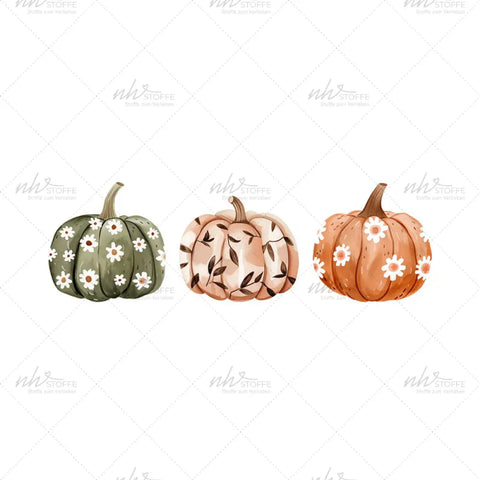 Bügelbild Floral Pumpkin (Trio) MAXI