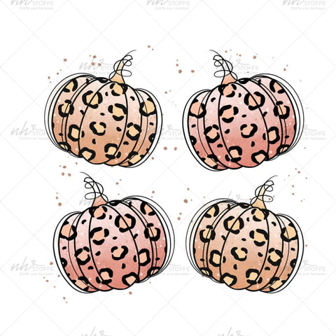 Bügelbild Leo Pumpkin Medium