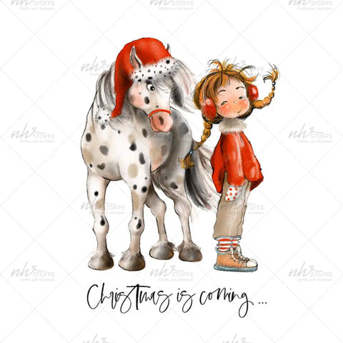 Bügelbild Weihnachtslotte MAXI