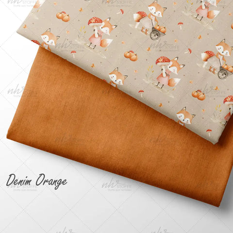 French Terry Fox Stories (Bio)