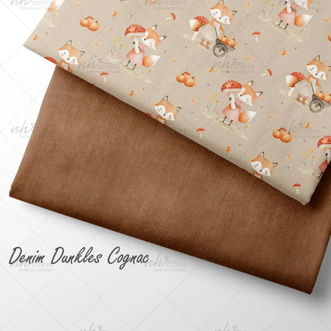 French Terry Fox Stories (Bio)