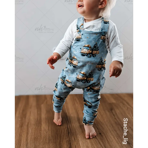 French Terry Kleiner Weihnachtslaster 3019 (Bio)