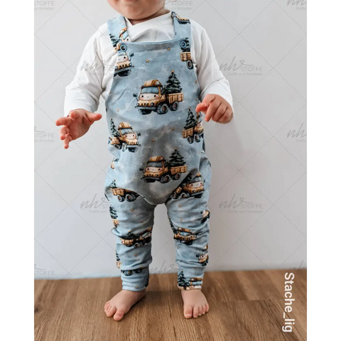 French Terry Kleiner Weihnachtslaster 3019 (Bio)