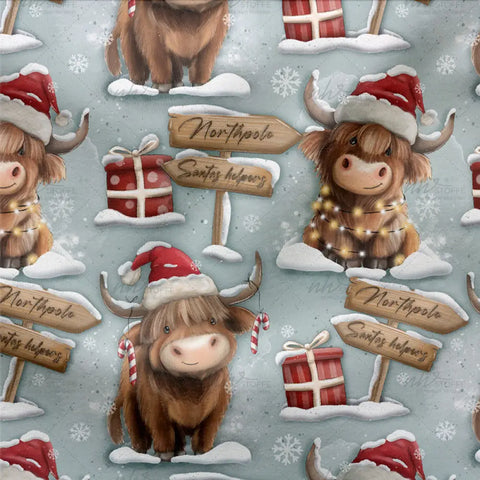 French Terry Northpole Buffalo 3030 (Bio)