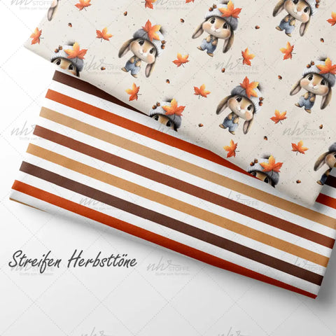 French Terry Streifen Herbsttöne (Bio)