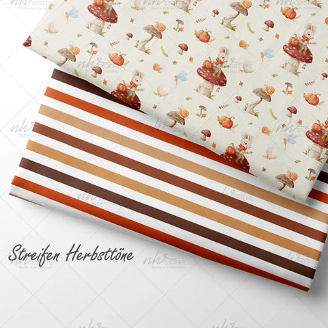 French Terry Streifen Herbsttöne (Bio)