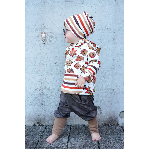 French Terry Streifen Herbsttöne (Bio)