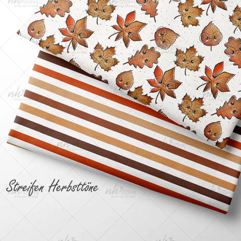 French Terry Streifen Herbsttöne (Bio)