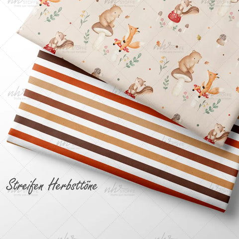 French Terry Streifen Herbsttöne (Bio)