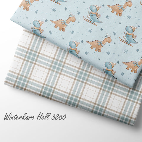 French Terry Pisten Dinos 3798 (Bio) VORBESTELLUNG