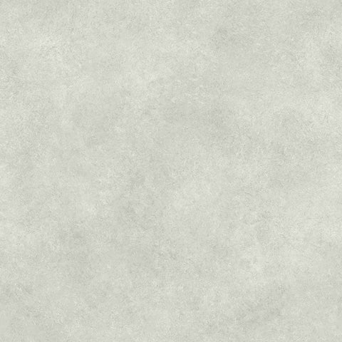 French Terry Stonewashed Dusty Light Green (Bio)